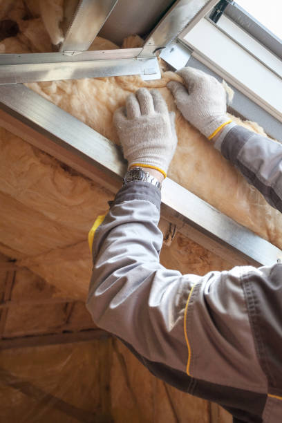 Best Commercial Insulation in Valley City, ND